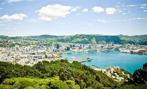 indeed new zealand|indeed wellington new zealand.